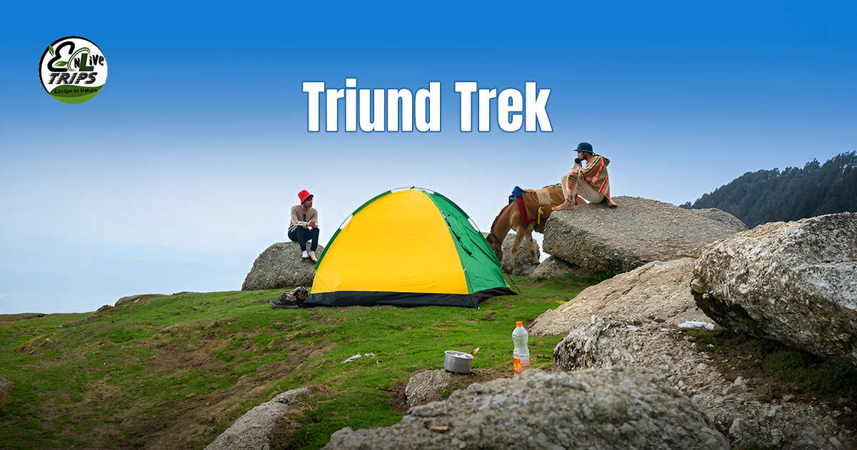 Triund Trek Packge